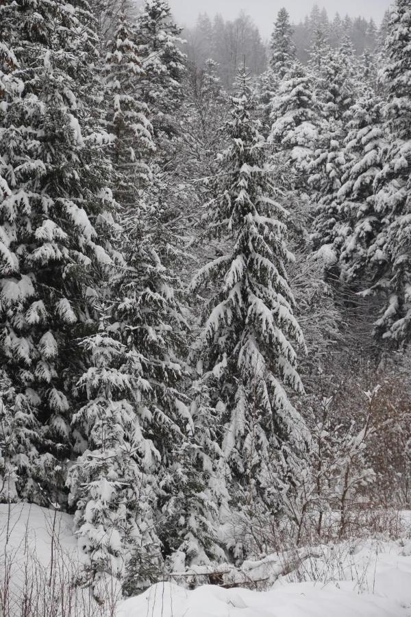 Nova Montan Azuga Bagian luar foto
